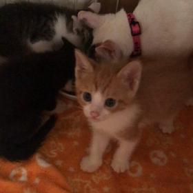 もぐもぐタイム！の画像