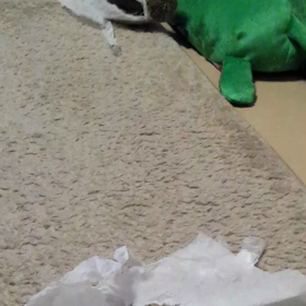 ☆お洒落なマーちゃん☆の画像