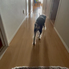 母の立場の画像