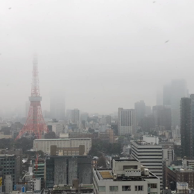 開花宣言&初雪…のホワイト・ホワイトDAY♪雪動画♡の画像