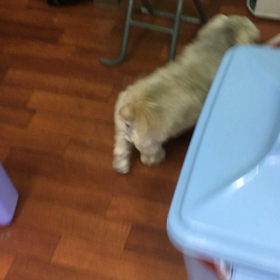 良い天気(๑˃̵ᴗ˂̵)の画像