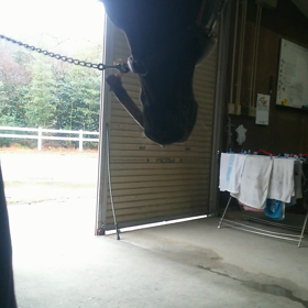 ご機嫌☆の画像