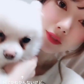 癒しの存在♡の画像
