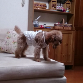 遊ばれてるの？の画像