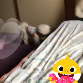 またまた人気投票頂きましたの画像