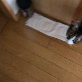 まさか…可愛そうなデール。の画像