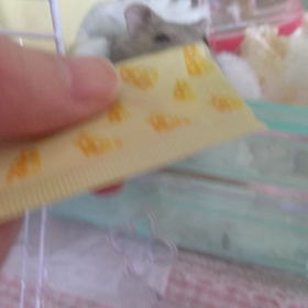 今日で７年目の画像