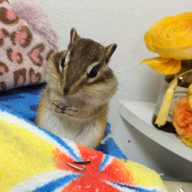 あと30分かぁー。の画像