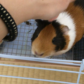 ごきげん♫の画像