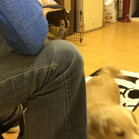 よく出来ました。の画像