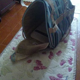 行って来ま〜す!の画像