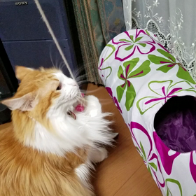 今日はビーズのお教室の画像