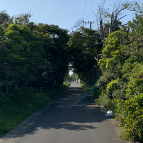 良い景色の画像