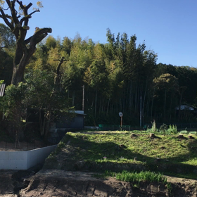 うぐいす合唱団の画像