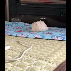 ん？なんか……の画像