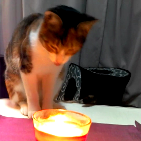 メリークリスマスの画像