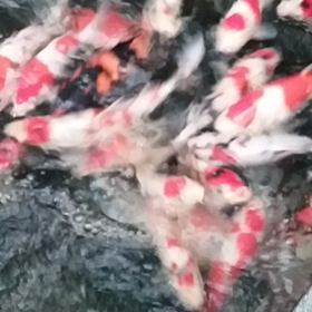 戻りました。の画像