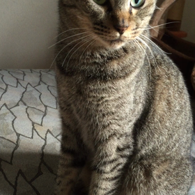 リクはダミ声の画像