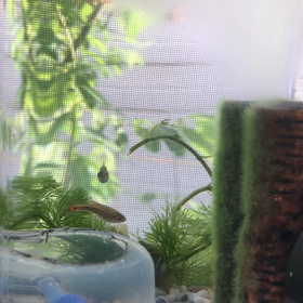 今日も元気の画像