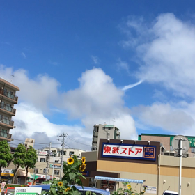 のびた影からの画像