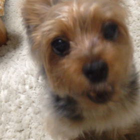 お誘いします♪の画像