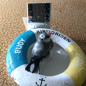 ☆今年最後の外来診察～減薬❗の画像