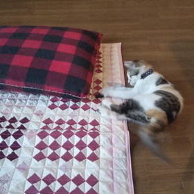 おはようのヤンチャぶりの画像