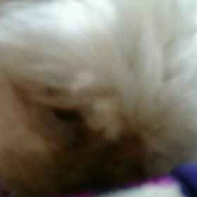 ご飯を作るときの画像