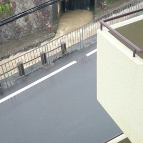 家の前の川なんだがの画像