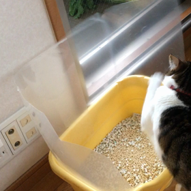 主婦として、このままではいかん！ トイレのクリアファイル。デール動画の画像