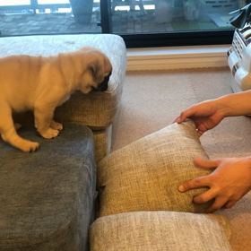 完全にやったと思った。。の画像