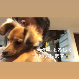 2019年スタート☆の画像