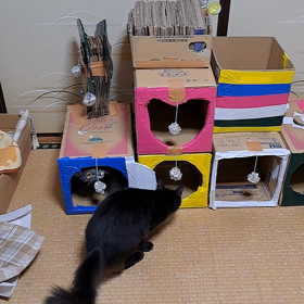 ニャンダーランド完成の画像