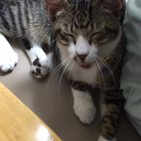 リラックス、スミくん☺️の画像