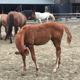 何があっても、屁のカッパ⁈の画像