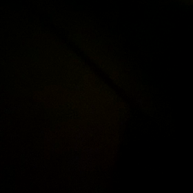 お久しぶりの画像