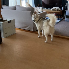 こういうとこが可愛いの画像