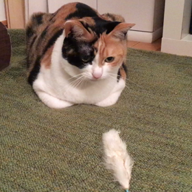 デンスケ人形の画像