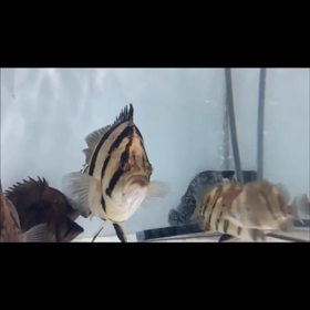 意味深な、、、の画像