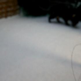 「雪やこんこん」の画像