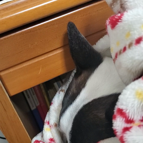 在宅。。の画像