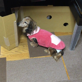 ハイシニアの1日の画像