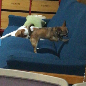 ほり＊ほりの画像