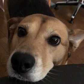 涼しいというより冬の朝のような！の画像