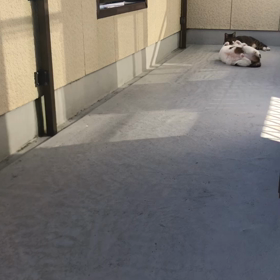 歩み寄る2人…？　母とはやっぱり一緒に住めない。の画像