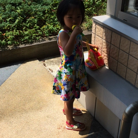 りんりんのしつけ方の画像