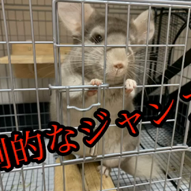 朝はやはり、ホットケーキ!!!の画像