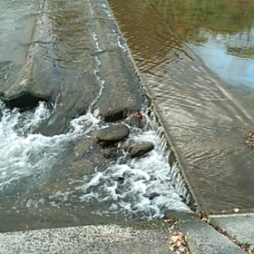 いつもの川沿いの画像