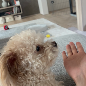 最近の悩みの画像