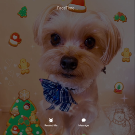 ⭐︎Merry Xmas⭐︎の画像